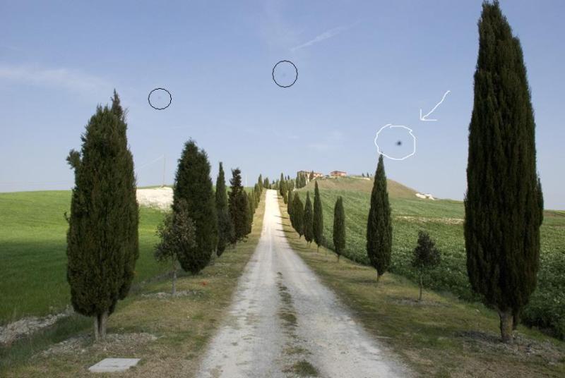 Immagine ridimensionata: clicca sull'immagine per vederla con le dimensioni originali.
